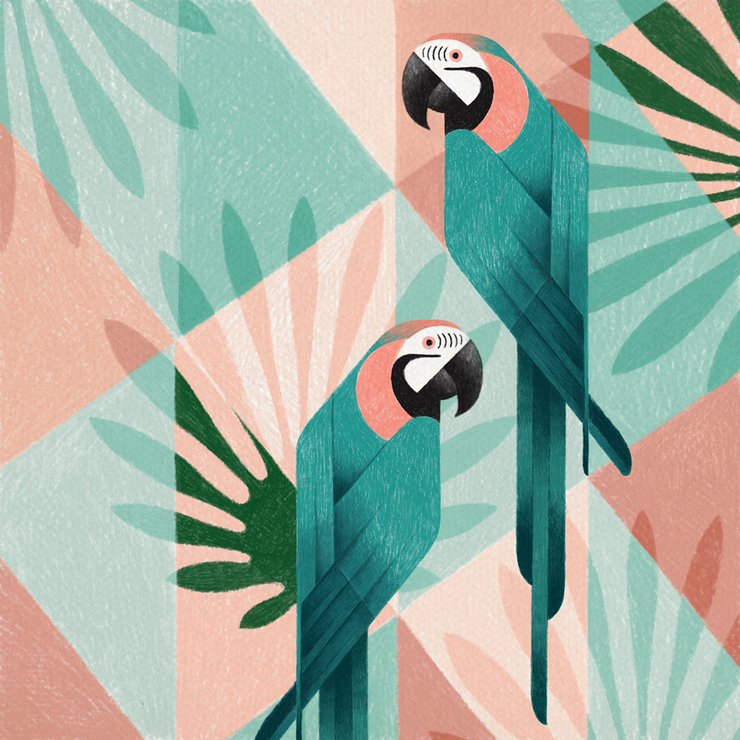 Geometric Bird Illustrations By Samy Halim