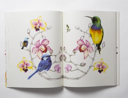 Birdtopia A Beautiful Colouring Book For All Ages By Daisy Fletcher
