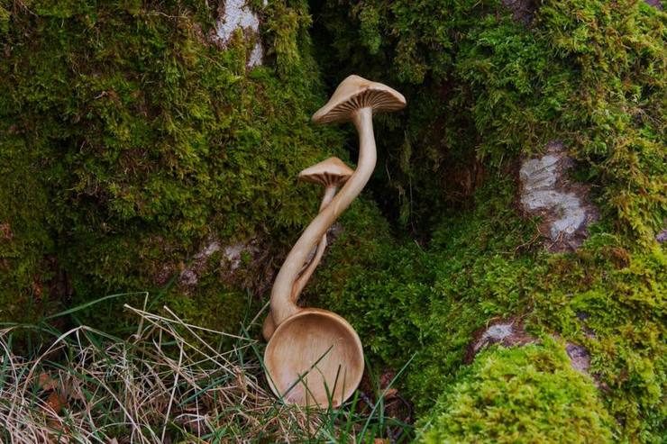 Nature Inspired Hand Carved Wooden Spoons By Giles Newman
