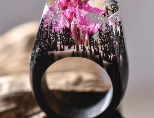 New miniature worlds encased into wooden rings by secret wood