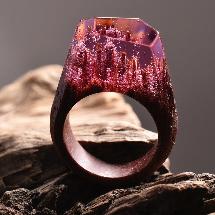 New miniature worlds encased into wooden rings by secret wood