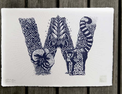 Beautiful Fauna and Flora Illustrated Alphabet by Valérie Hugo