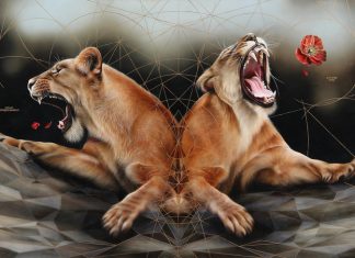Majestic Animal Paintings by Josie Morway