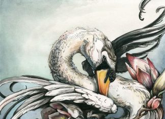 Beautiful Nature-Inspired Drawings by Christina Mrozik