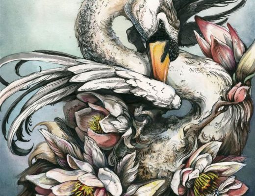 Beautiful Nature-Inspired Drawings by Christina Mrozik