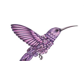 Surreal Colored Pencil Drawings Celebrate Fauna and Flora