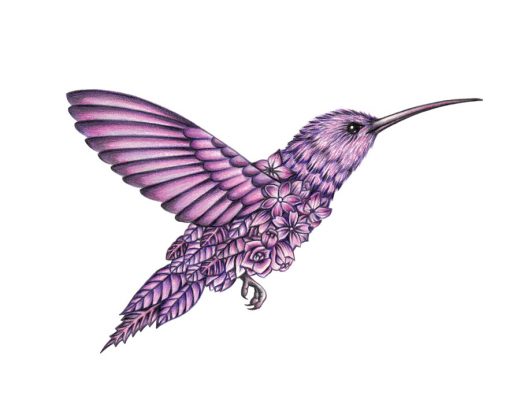 Surreal Colored Pencil Drawings Celebrate Fauna and Flora
