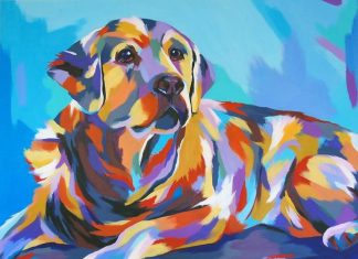 Vibrant Portraits Of Animals And People by Ellie Benton