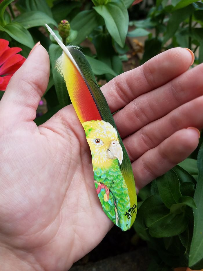 Artist Uses Delicate Feathers As Canvas For Her Realistic Animal Portraits