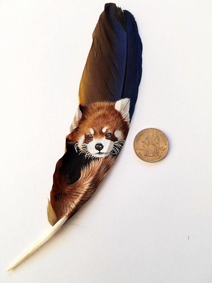 Artist Uses Delicate Feathers As Canvas For Her Realistic Animal Portraits