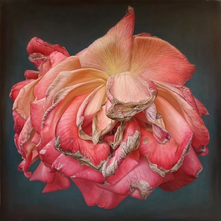 Delicate hyper-realistic paintings of roses by Gioacchino Passini