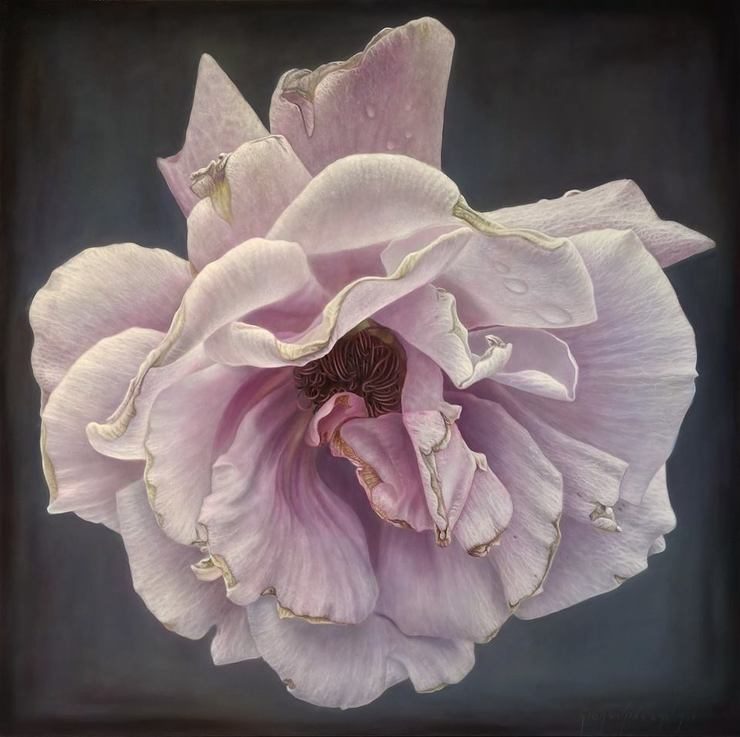 Delicate hyper-realistic paintings of roses by Gioacchino Passini