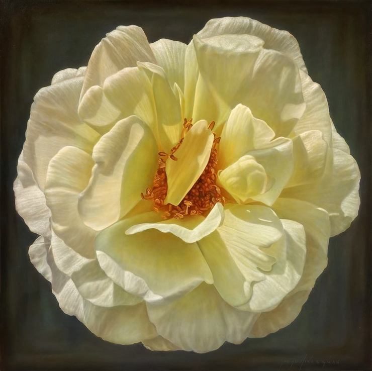 Delicate hyper-realistic paintings of roses by Gioacchino Passini