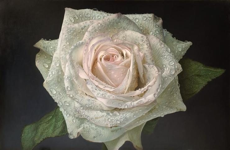 Delicate hyper-realistic paintings of roses by Gioacchino Passini