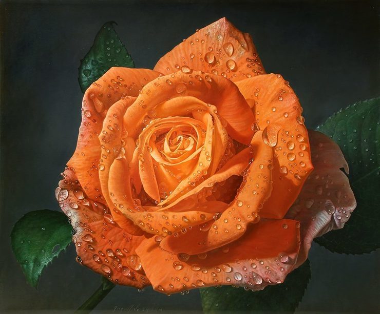 Delicate hyper-realistic paintings of roses by Gioacchino Passini