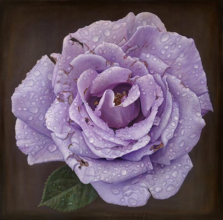 Delicate hyper-realistic paintings of roses by Gioacchino Passini
