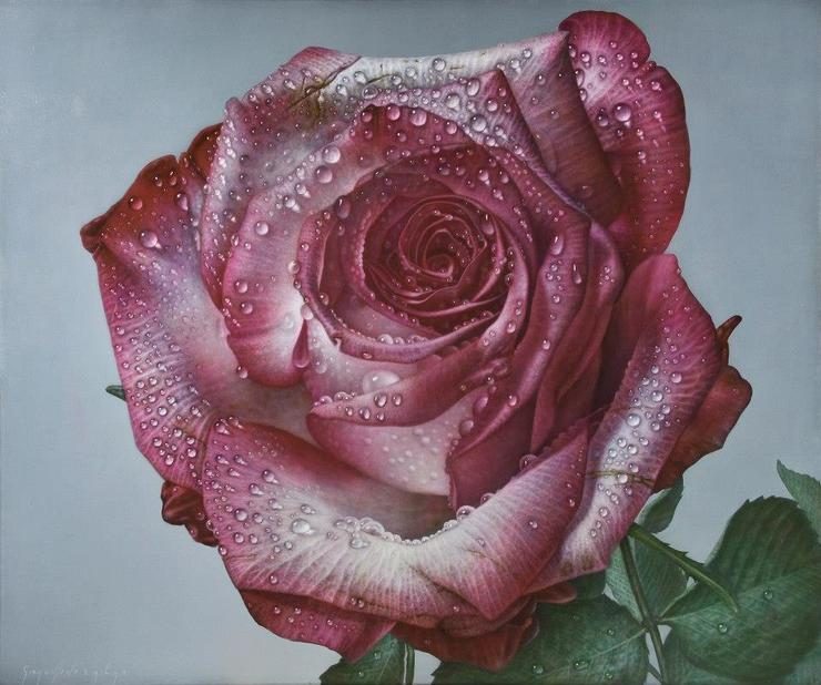Delicate hyper-realistic paintings of roses by Gioacchino Passini