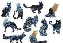 Stunning Watercolor Galaxy Animals by ThreeLeaves