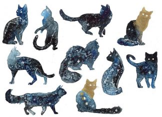 Stunning Watercolor Galaxy Animals by ThreeLeaves