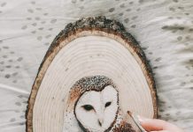 Beautiful Woodcut Portraits of Woodland Animals by Claudia D'Orso