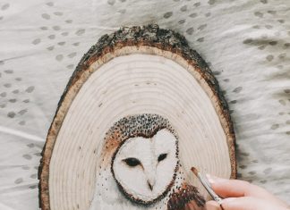 Beautiful Woodcut Portraits of Woodland Animals by Claudia D'Orso