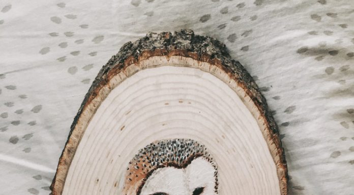 Beautiful Woodcut Portraits of Woodland Animals by Claudia D'Orso
