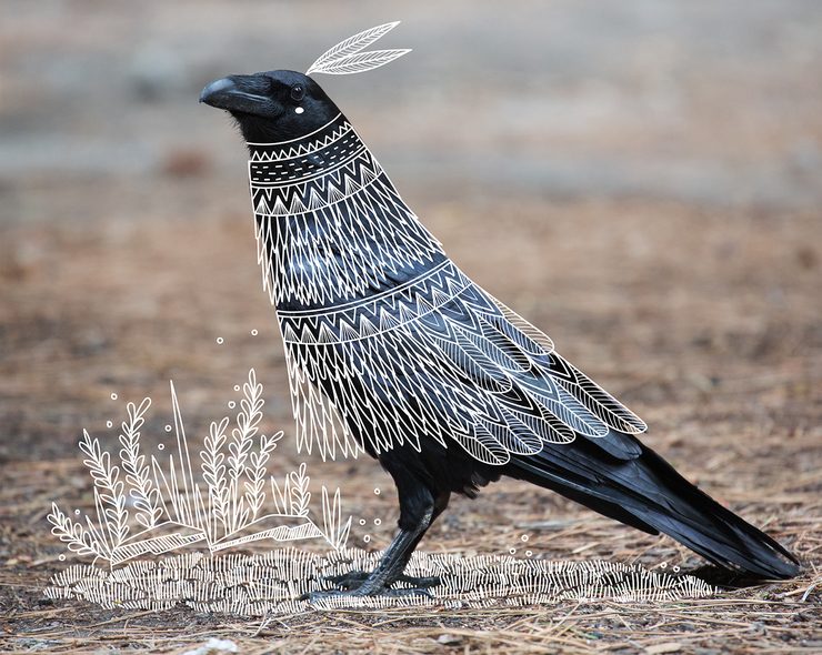 Illustrator doodles tribal costumes over animal photographs