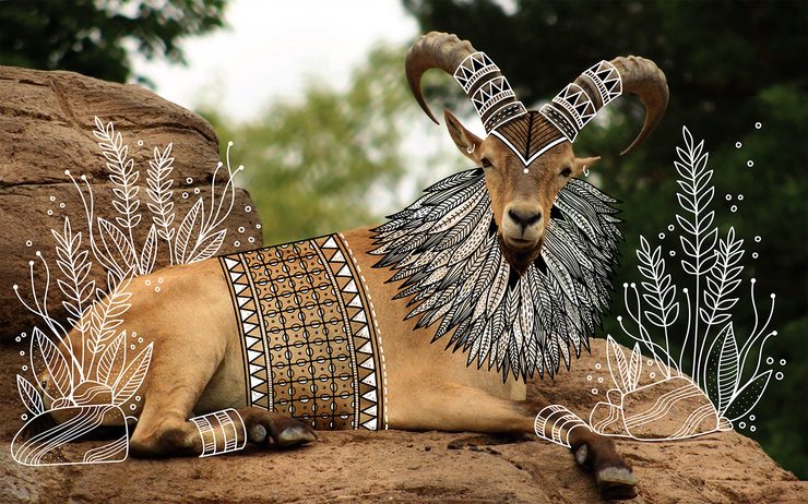 Illustrator doodles tribal costumes over animal photographs