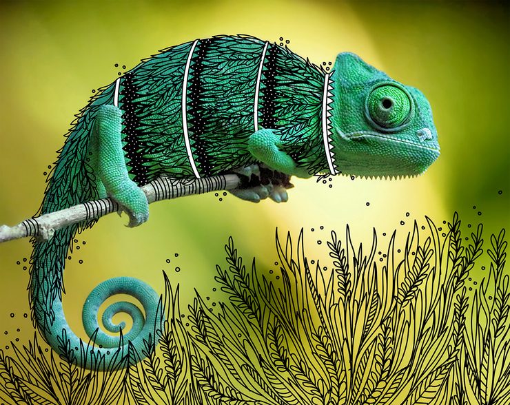 Illustrator doodles tribal costumes over animal photographs