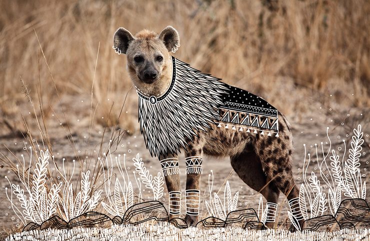 Illustrator doodles tribal costumes over animal photographs
