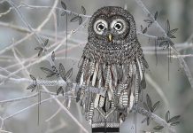 Illustrator doodles tribal costumes over animal photographs