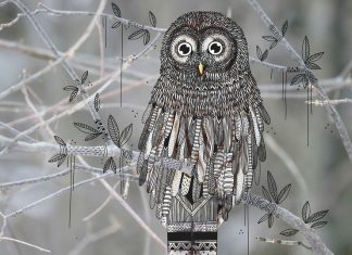 Illustrator doodles tribal costumes over animal photographs