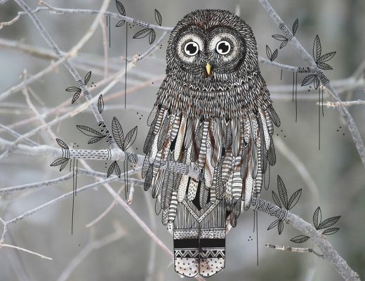 Illustrator doodles tribal costumes over animal photographs