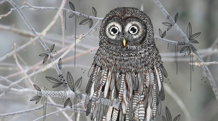 Illustrator doodles tribal costumes over animal photographs