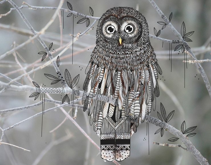 Illustrator doodles tribal costumes over animal photographs