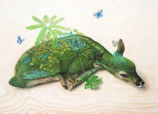 Surreal Nature Illustrations by Tiffany Bozic