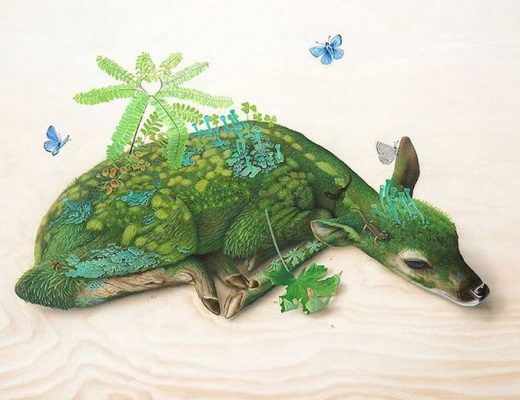Surreal Nature Illustrations by Tiffany Bozic