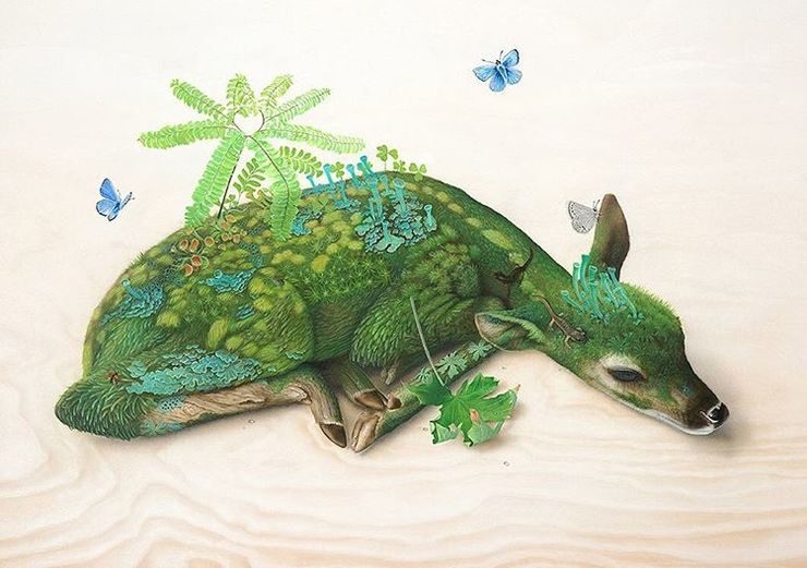 Surreal Nature Illustrations by Tiffany Bozic
