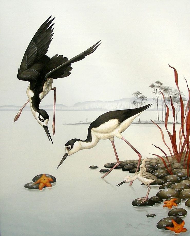 Surreal Nature Illustrations by Tiffany Bozic