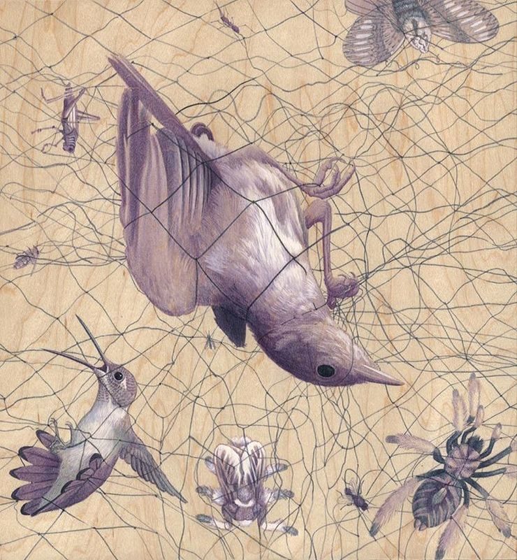 Surreal Nature Illustrations by Tiffany Bozic