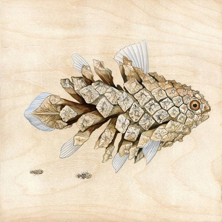 Surreal Nature Illustrations by Tiffany Bozic