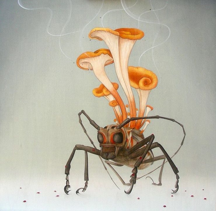 Surreal Nature Illustrations by Tiffany Bozic