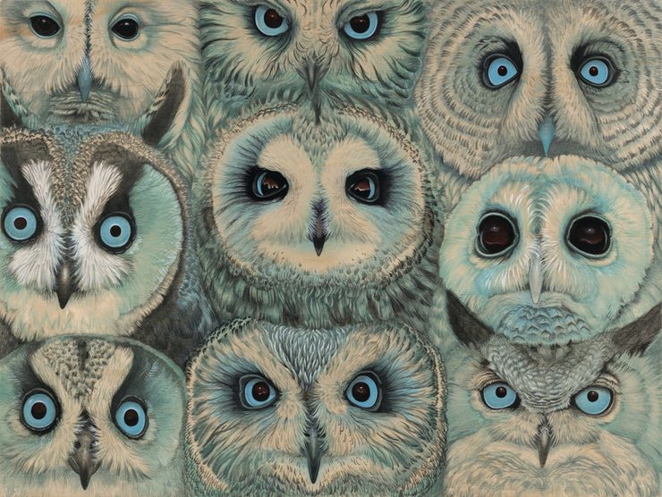 Surreal Nature Illustrations by Tiffany Bozic